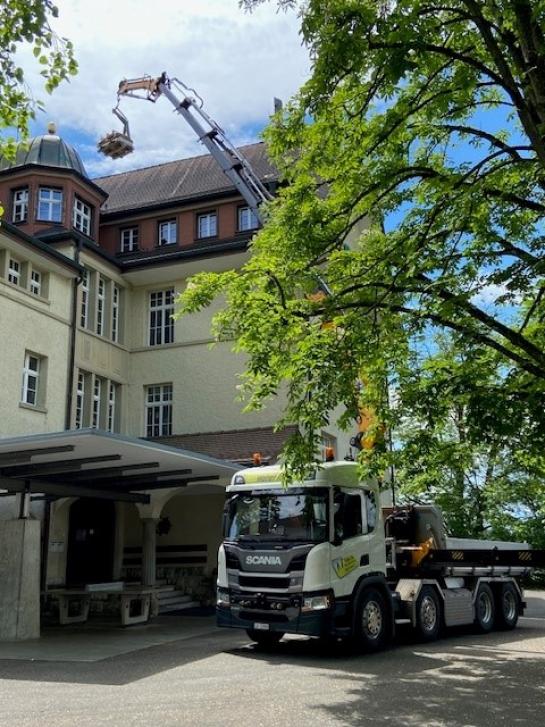 Waller_AG_Bauunternehmung_Schulhaus_Büron